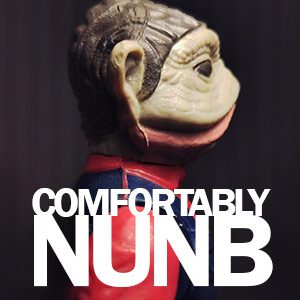 NN-Article.jpg NN-Article.jpg